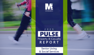 Pulse Report Industry Thumbnail