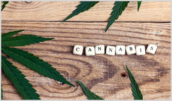 Cannabis legalization work policies